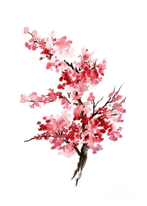 Cherry Blossom watercolor print or greeting card